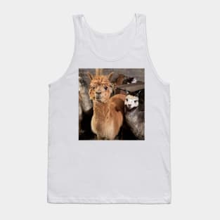 sylvan alpacas Tank Top